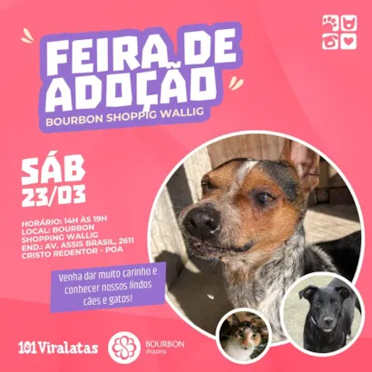 Feira de Adoção no Bourbon Shopping Wallig: Um Ato de Amor