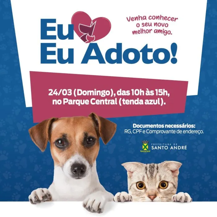 Feira de Adoção de Animais em Santo André - Ache seu amigo!