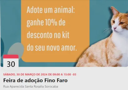 Feira de Adoção Fino Faro: Encontre seu Novo Companheiro!