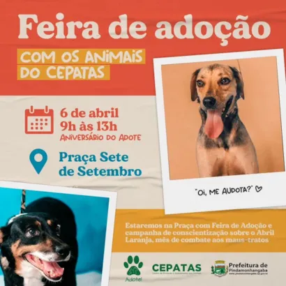 Feira de Adoção de Animais em Pindamonhangaba: Encontre seu Novo Amigo!