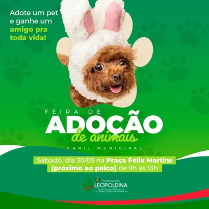 Feira de Adoção em Leopoldina: Encontre Seu Novo Melhor Amigo!