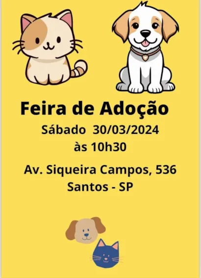 Encontre Seu Melhor Amigo na Feira de Adoção em Santos!