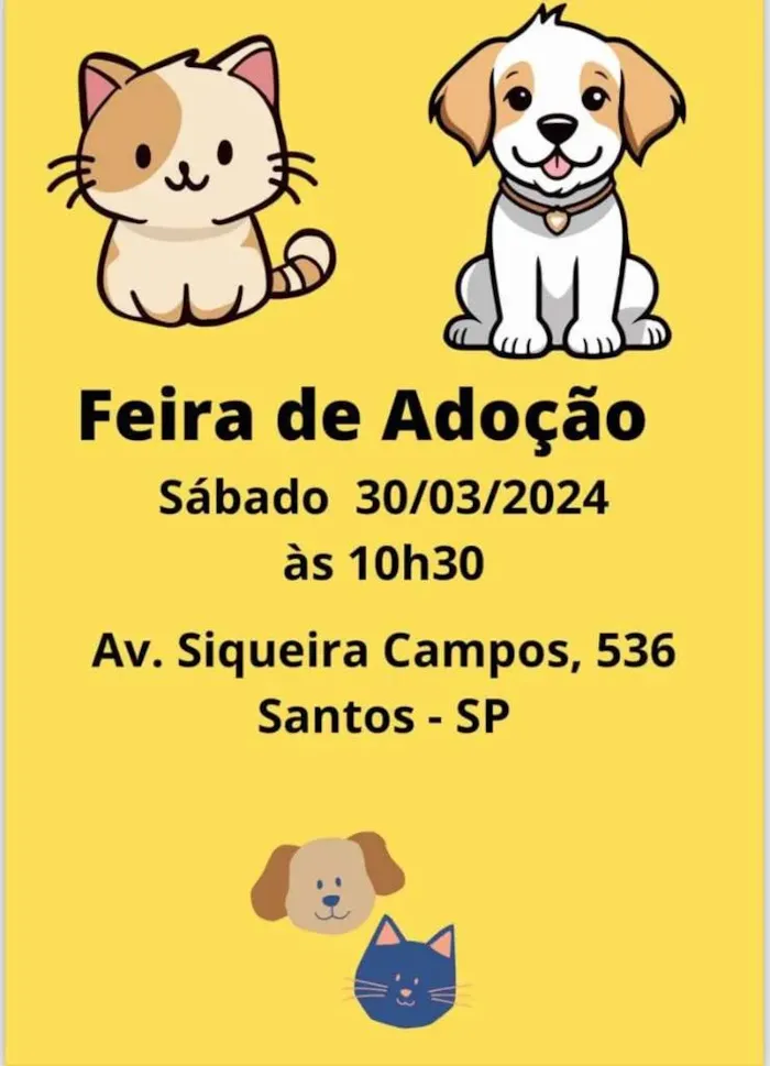 Encontre Seu Melhor Amigo na Feira de Adoção em Santos!