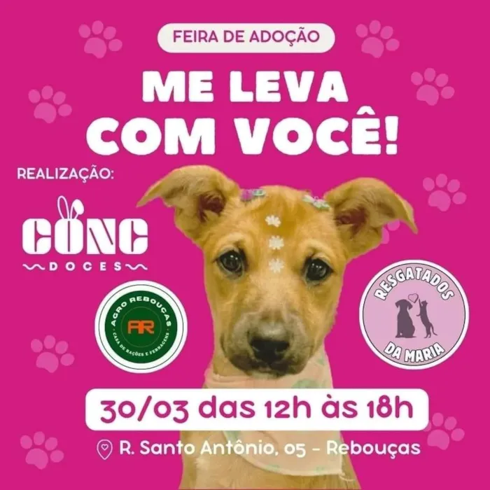 Participe da Feira de Adoção em Curitiba no dia 30 de março de 2024, das 12h às 18h. Encontre seu novo amigo e ajude a mudar vidas. Venha!