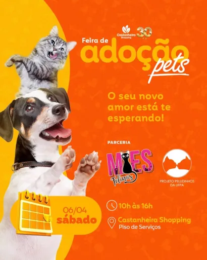 Feira de Adoção de Pets: Encontre seu Novo Companheiro em Belém!