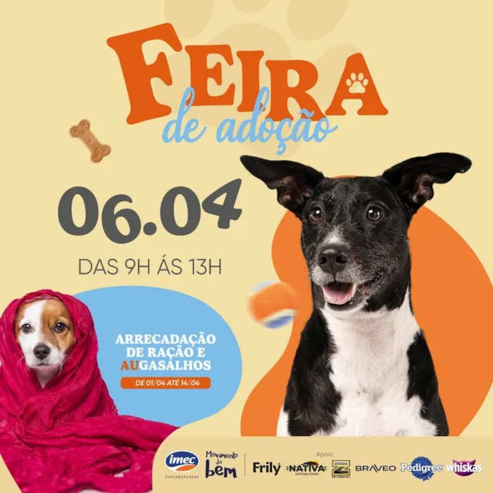 Feira de Adoção de Animais: Encontre Seu Melhor Amigo!