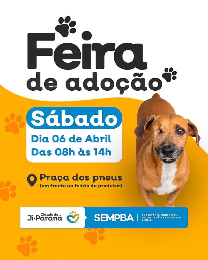 Feira de Adoção de Animais em Ji-Paraná: Dê Amor, Ganhe um Amigo! 