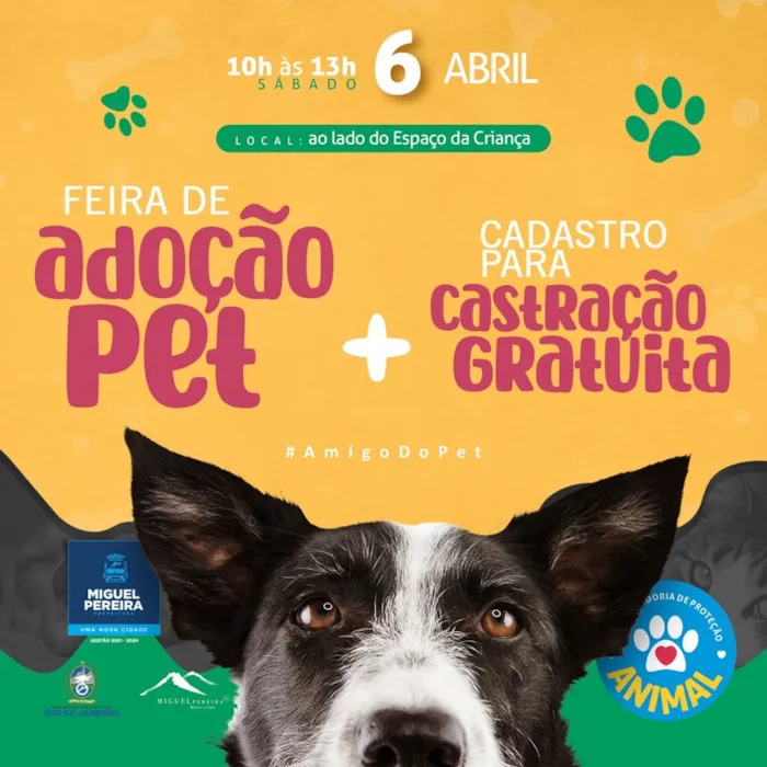 Feira de Adoção Pet com Castração Gratuita em Miguel Pereira!