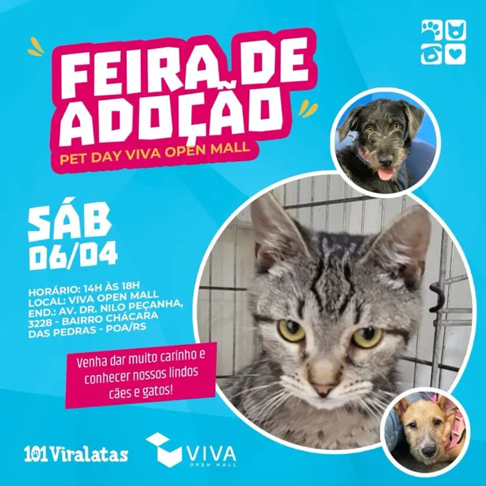 Feira de Adoção de Animais: Uma Jornada de Amor em Porto Alegre