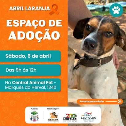 Evento de Adoção - Ache um Amigo para a Vida em São Leopoldo!