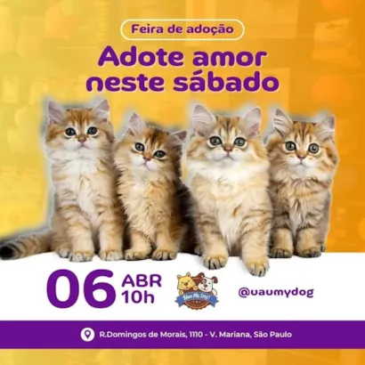 Adote um novo amigo peludo na Feira de Adoção em SP!