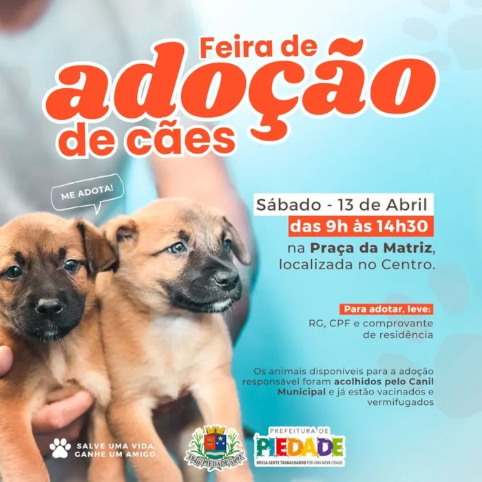 Encontre Seu Melhor Amigo: Feira de Adoção Canina em Piedade!