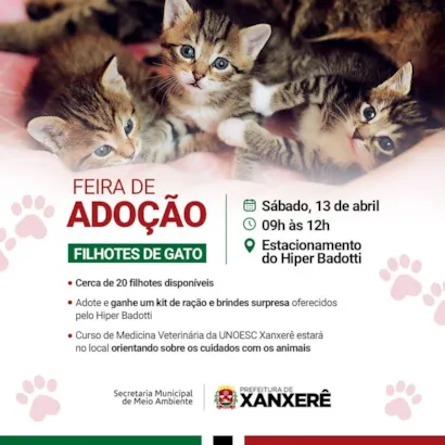 Feira de Adoção em Xanxerê: Encontre seu Novo Amigo Felino!