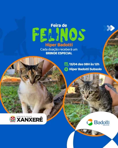 Feira de Felinos em Xanxerê: Adote Amor e Ganhe um Brinde!