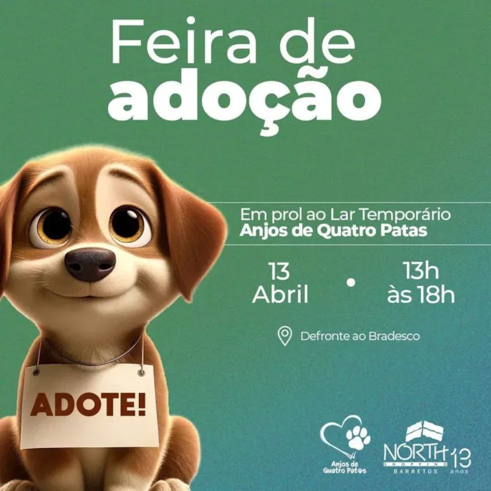 Feira de Adoção de Animais em Barretos: Encontre seu novo amigo!