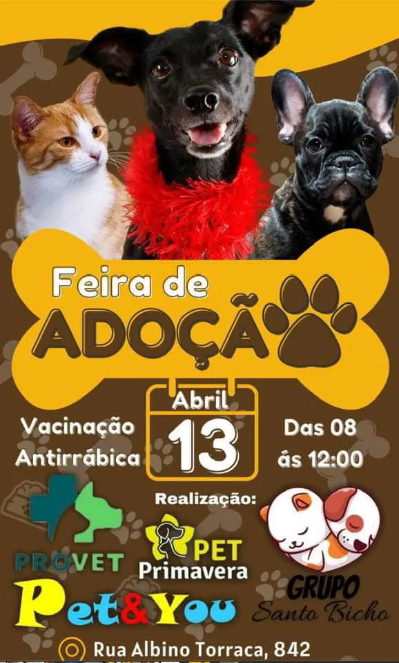 Feira de Adoção em Dourados: Encontre Seu Novo Melhor Amigo!