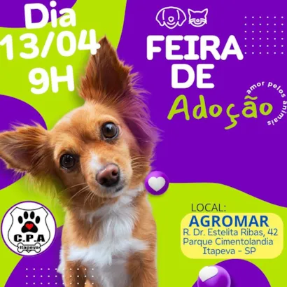 Acolha um Amigo: Grande Feira de Adoção de Animais em Itapeva!