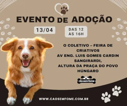 Encontro do Coração: Adote um amigo peludo em SP!