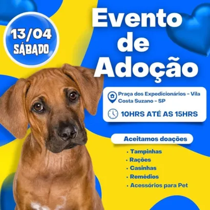 Feira de Adoção de Animais em Suzano: Encontre seu Novo Amigo!