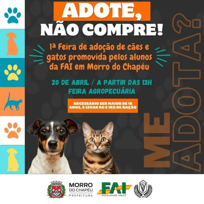 Adote um Amigo: Feira de Adoção de Cães e Gatos em Morro do Chapéu