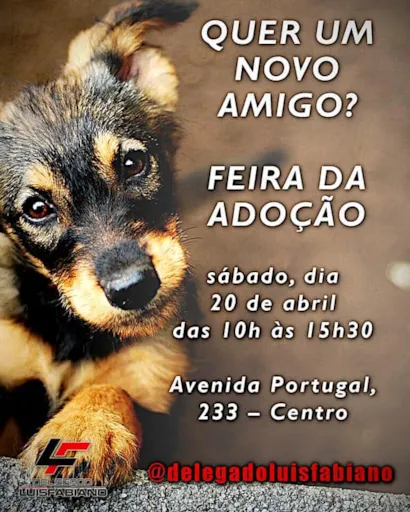 Encontre seu novo melhor amigo na Feira de Adoção em Santo André!