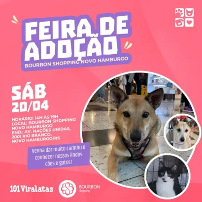 Feira de Adoção de Animais: Encontre seu Novo Amigo em Novo Hamburgo!