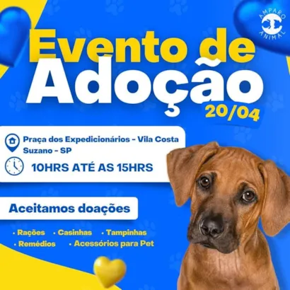 Encontre seu melhor amigo no evento de adoção em Suzano!