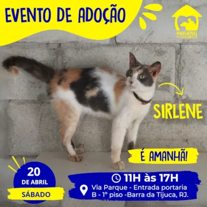 Encontre o Amor de Quatro Patas no Evento Adote RJ