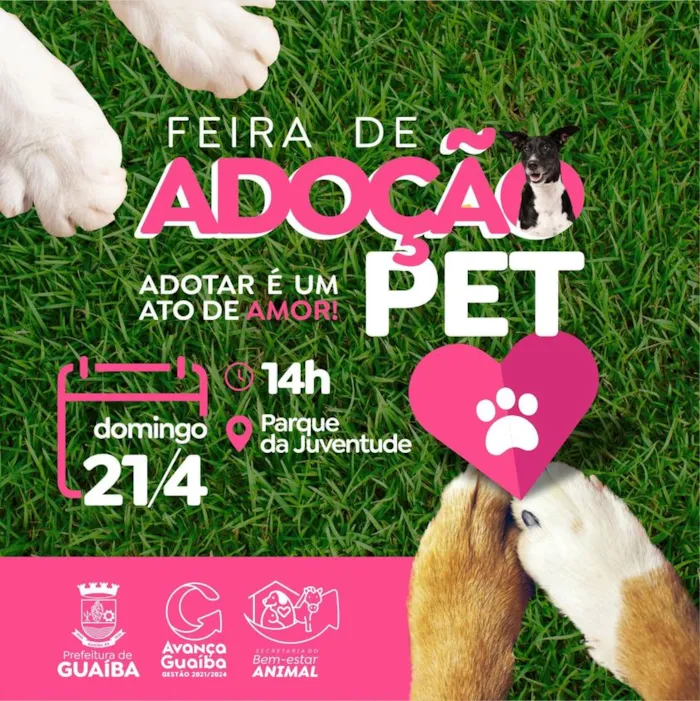 Feira de Adoção de Pets em Guaíba: Encontre seu Novo Amigo!