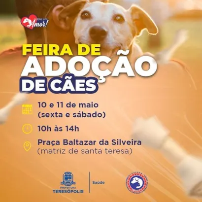 Feira de Adoção de Cães em Teresópolis - Encontre seu Novo Amigo!