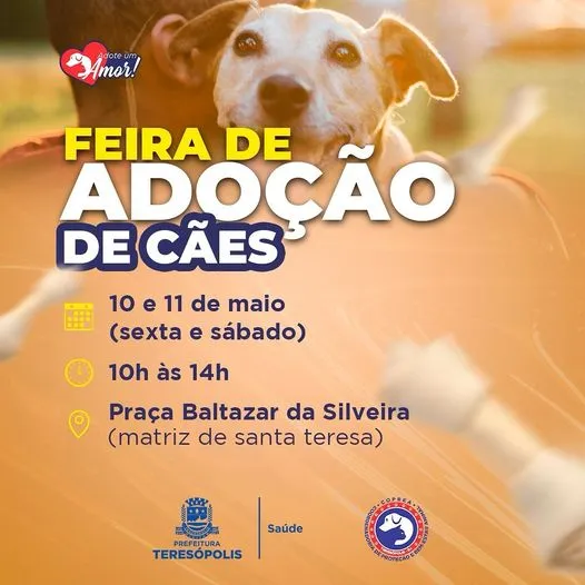 Feira de Adoção de Cães em Teresópolis - Encontre seu Novo Amigo!