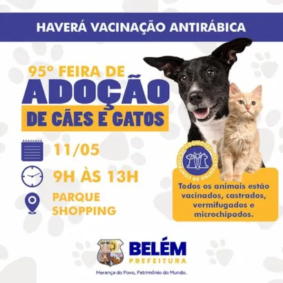 Amor e Responsabilidade na 95ª Feira de Adoção em Belém