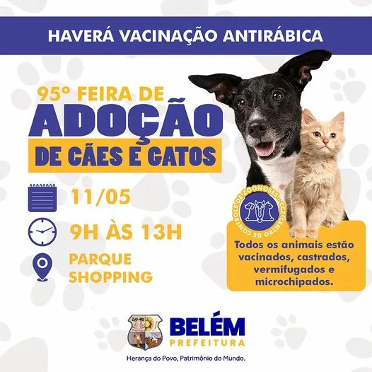 Amor e Responsabilidade na 95ª Feira de Adoção em Belém