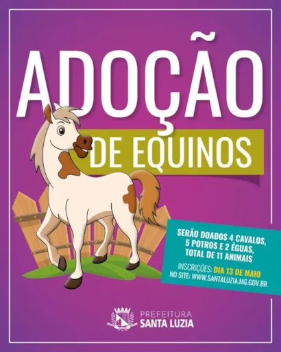 Amor e Nova Vida no Evento de Adoção de Equinos em Santa Luzia