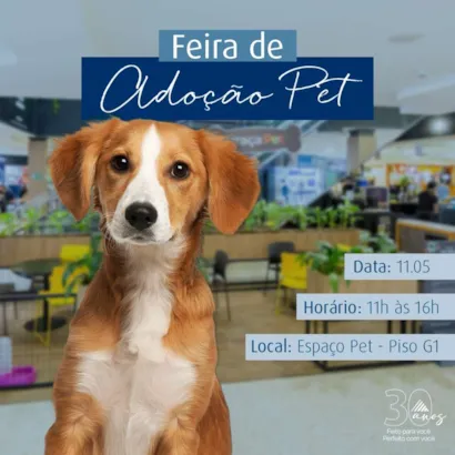 Feira de Adoção Pet em Campinas: Encontre seu Amigo de Quatro Patas!