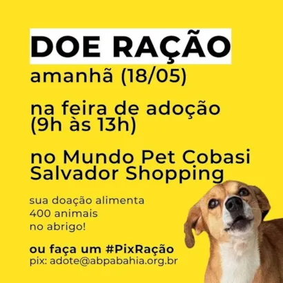 Abra seu Coração e Lar: Feira de Adoção de Animais em Salvador!