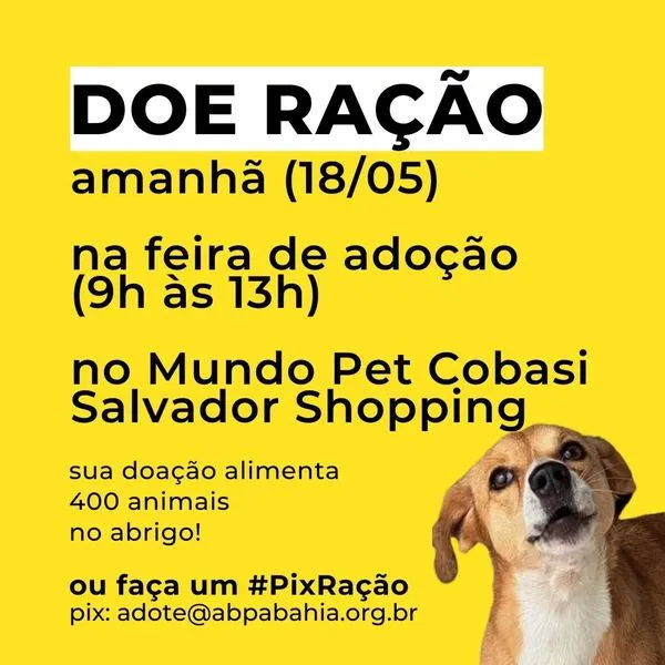 Abra seu Coração e Lar: Feira de Adoção de Animais em Salvador!