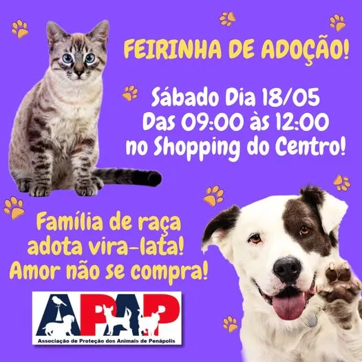 Participe da Feirinha de Adoção em Penápolis no dia 18 de maio das 09:00 às 12:00. Encontre seu novo amigo e ajude a mudar vidas! Adote com amor.
