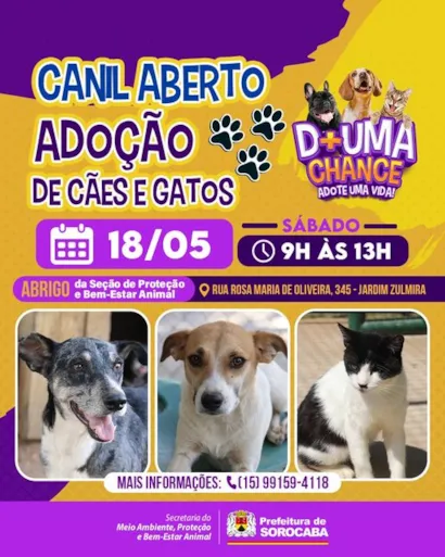 Encontre o Amor de Quatro Patas no Evento de Adoção em Sorocaba!