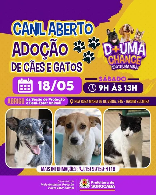 Encontre o Amor de Quatro Patas no Evento de Adoção em Sorocaba!