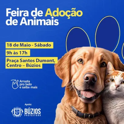 Feira de Adoção de Animais em Búzios: Encontre seu Novo Amigo!