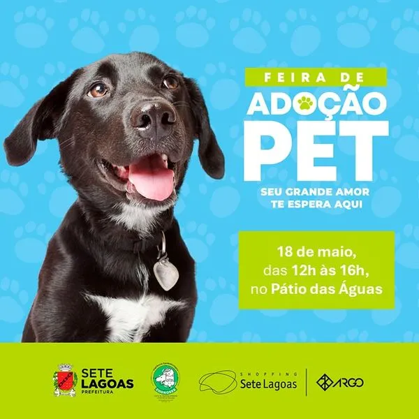 Feira de Adoção Pet em Sete Lagoas: Encontre seu novo amigo!