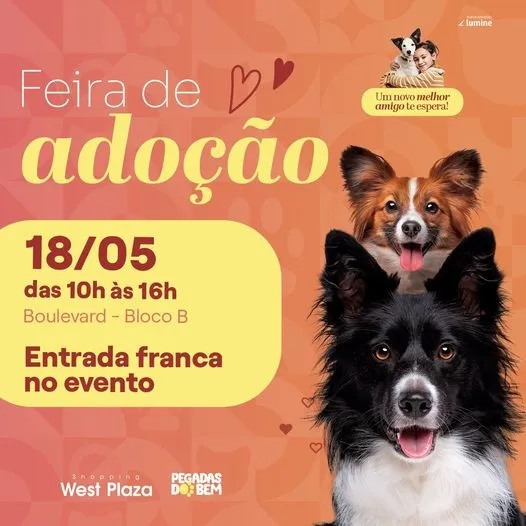 Encontre seu novo amigo! Feira de Adoção no West Plaza