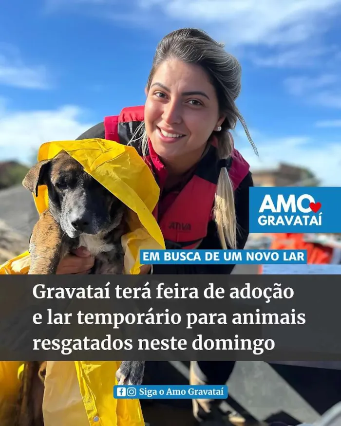 Feira de Adoção de Animais em Gravataí: Encontre seu Novo Amigo!