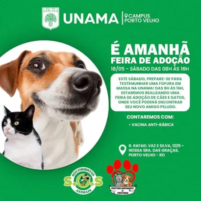 Feira de Adoção em Porto Velho: Encontre seu Melhor Amigo!