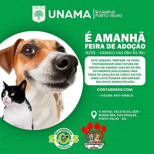 Feira de Adoção em Porto Velho: Encontre seu Melhor Amigo!