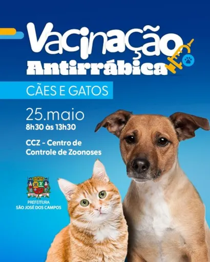 Amor e Cuidado esperam por você: Grande Feira de Adoção Animal!