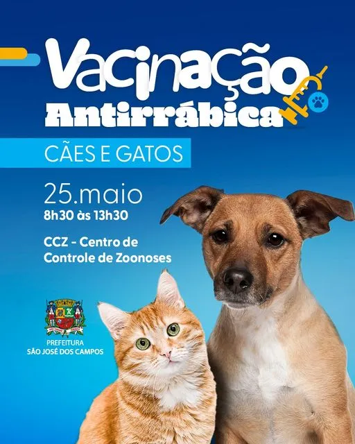 Amor e Cuidado esperam por você: Grande Feira de Adoção Animal!