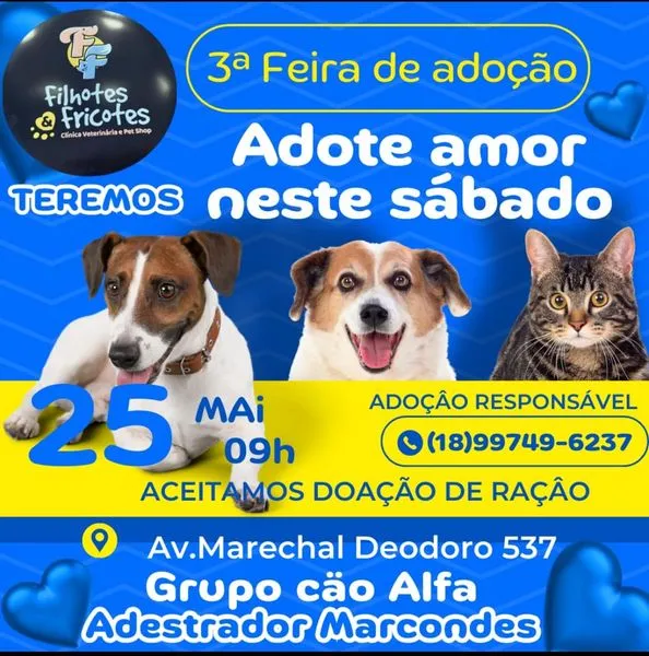 Amor de Quatro Patas te Espera na Feira de Adoção de Assis!