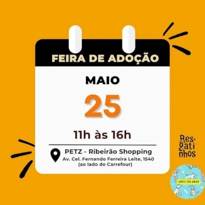 Feira de Adoção Animal Ribeirão Preto: Encontre Seu Novo Amigo!